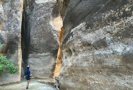 Hiking the Zion Narrows, a Life Long Intention
